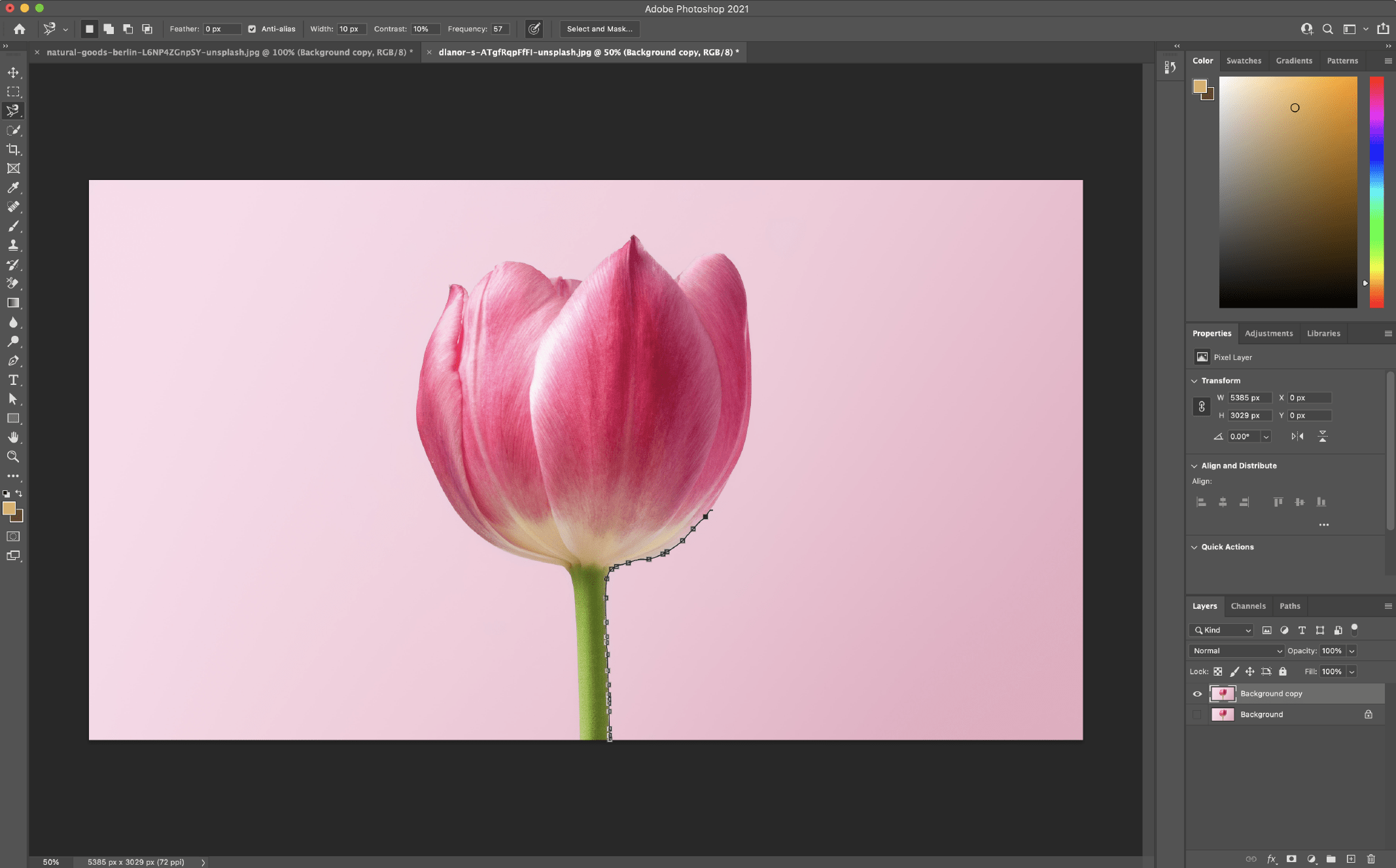 Remove a background in Photoshop using the Magnetic Lasso Tool 1